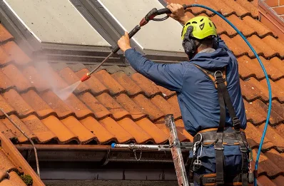 Démoussage et hydrofuge de toiture à Tavers